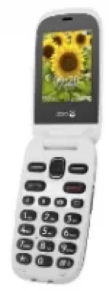 Sell My Doro 6031